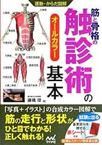 Amazon.co.jp: 骨格筋の形と触察法 改訂第2版